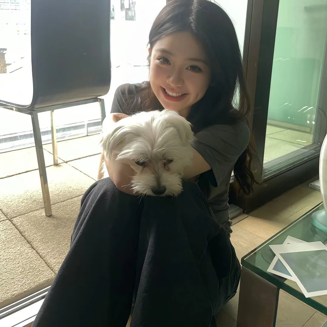 杀妻案封面